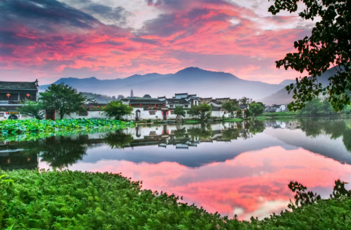 好评如潮！徽州有礼·黄山旅游年卡也太太太棒了！| 皖美夏日