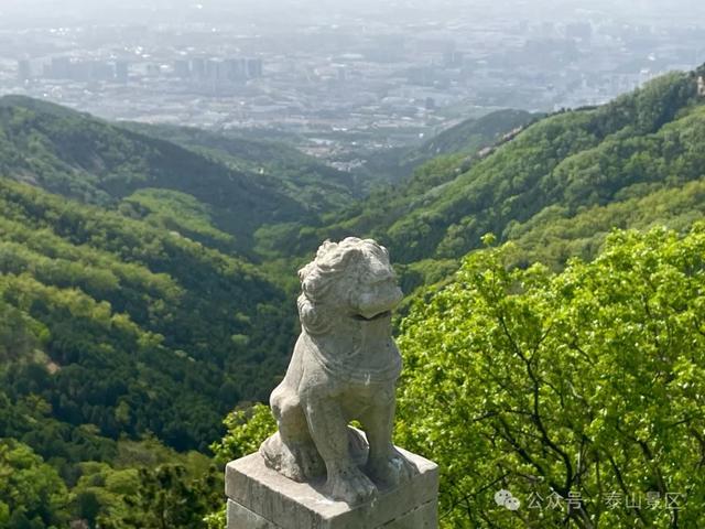 泰山中天门：春末夏初的绮梦之境