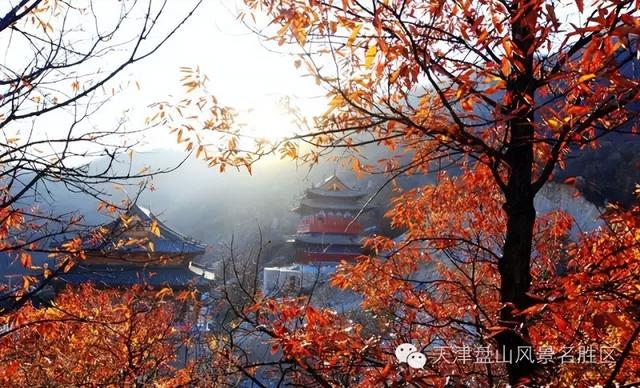 盘山 “红” 了！