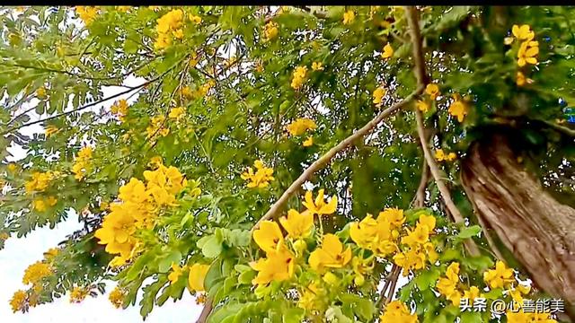 我这么爱你，你也爱我吗