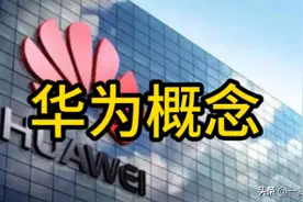 华为概念成长最快的10家公司图片