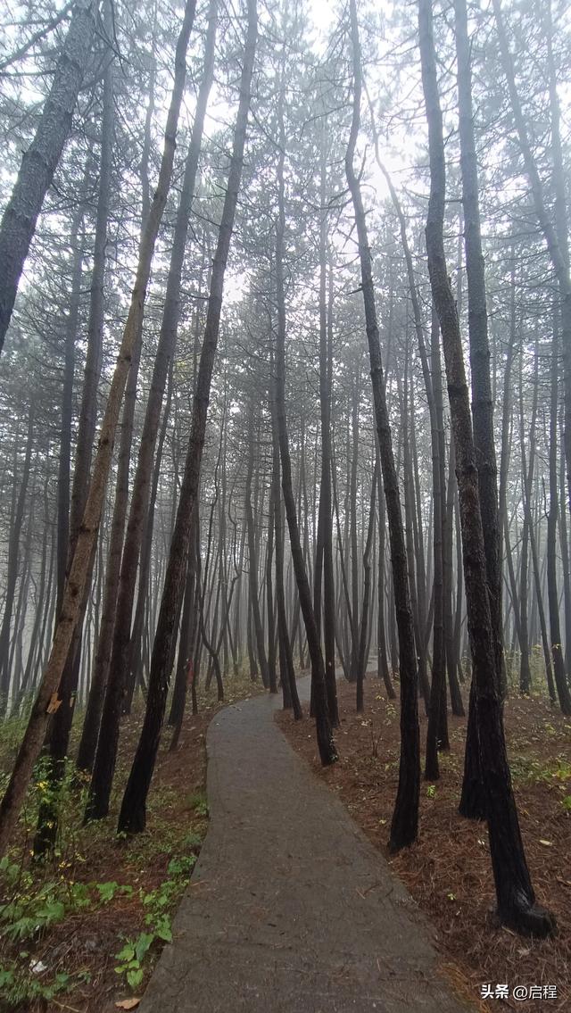 再游石门山森林公园