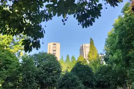 吁请相关部门采取措施，为过渡期前几年退休的＂中人“补调养老金图片