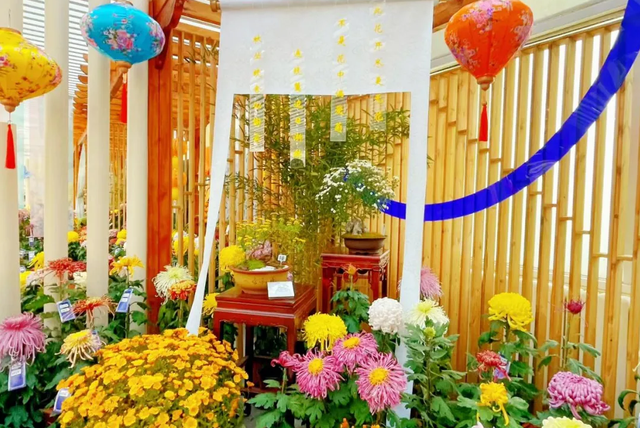 不当“菊”外人，丰台赏菊正当时！