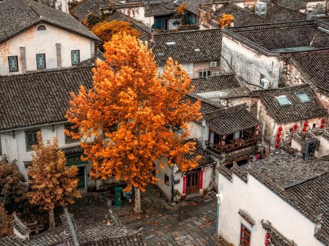 推窗见黄山：徽韵山景，揉进初冬 | 皖美冬日 | 第十五届安徽国际文化旅游节