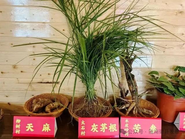 徽县第二届“诗韵大河•文池秋色”庆国庆迎中秋农文旅赋能促消费活动预告出炉，精彩抢先看！
