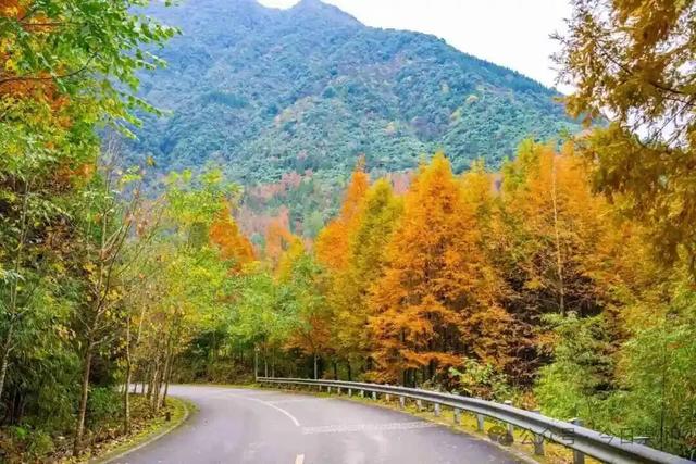漫山彩林，琉璃坝的色彩美学
