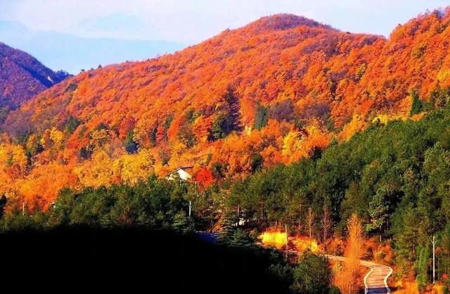 秋高气爽，一起去爬山呀
