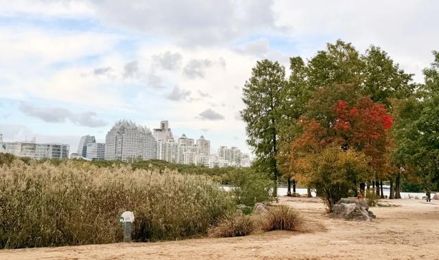 音乐体育双重奏:世纪公园打造多维体验场景