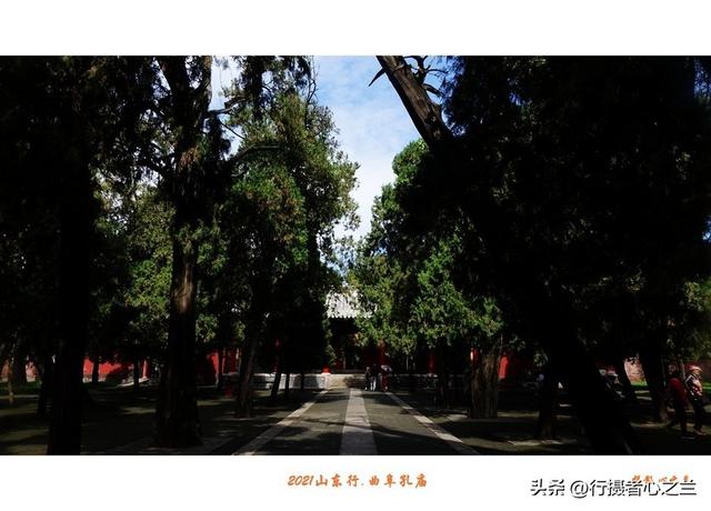 山东行游影记（208）—曲阜孔庙（三）