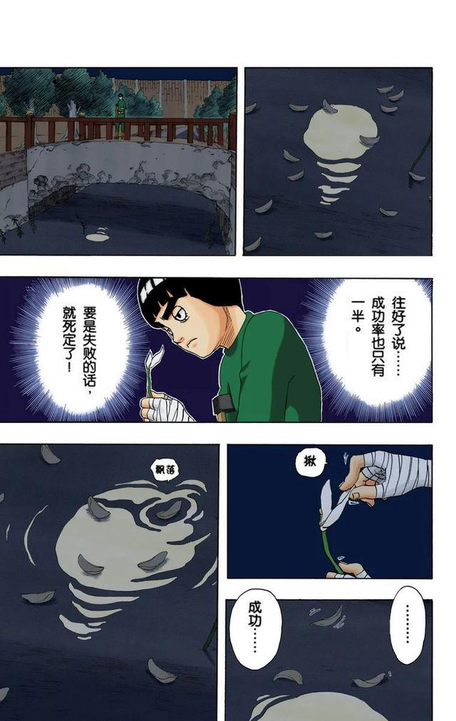 火影忍者彩漫 第二十卷 第五代火影纲手，鸣人佐助天台对决