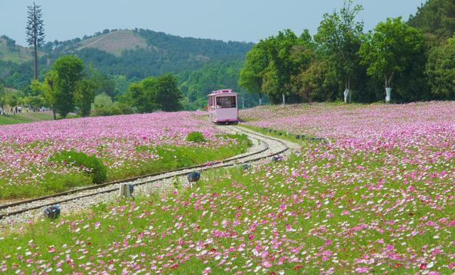 武汉人，去了黄陂跟新洲，直言不讳：黄陂跟新洲天差地别