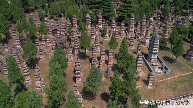 功夫寻源：河南少林·太极·杂技三日实录