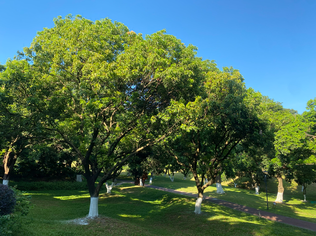 麒麟山真理公园1：这里的美景惊艳整个黄埔，你来过这里吗？
