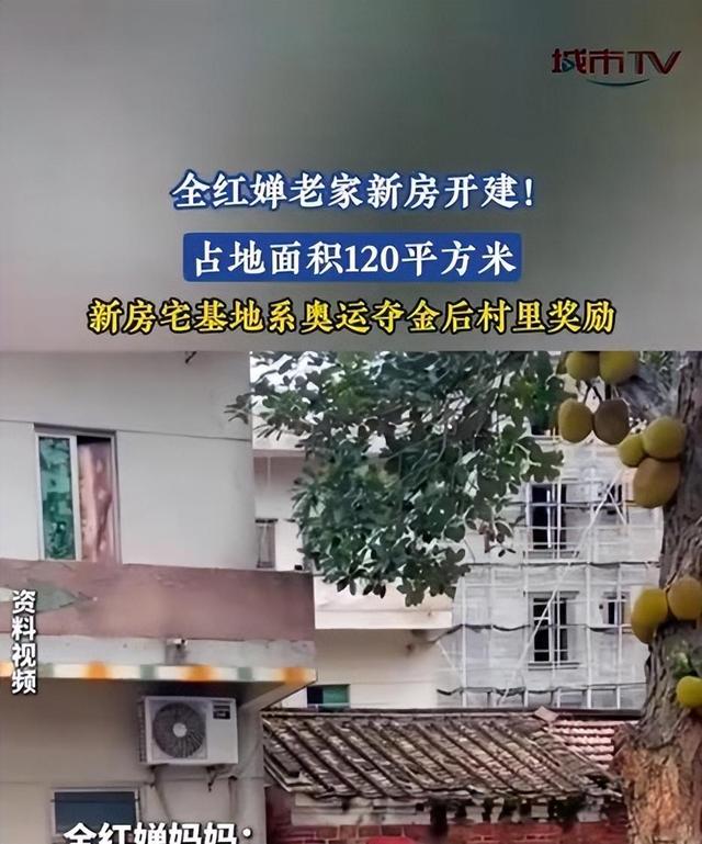 全红婵家新房建设最新进展：遭遇施工阻碍，邻居拒绝修剪树木。