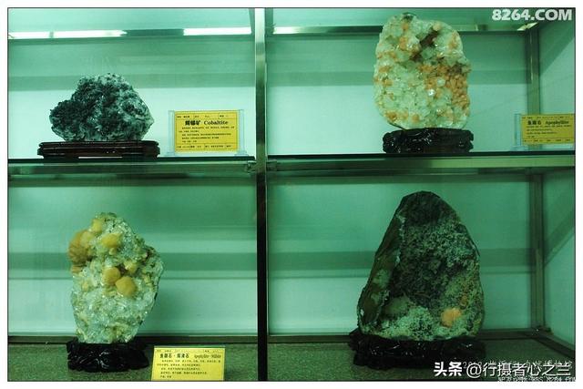 山东行游影记（31）—平邑天宇自然博物馆（六）