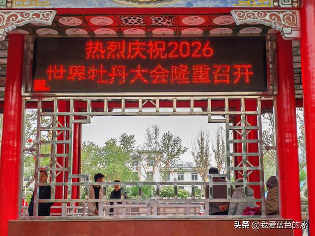 逛菏泽天香公园，这里牡丹很吸引游客，关键是二十四小时免费参观