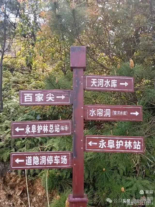 大罗山这条改造过的登山步道你可去过?