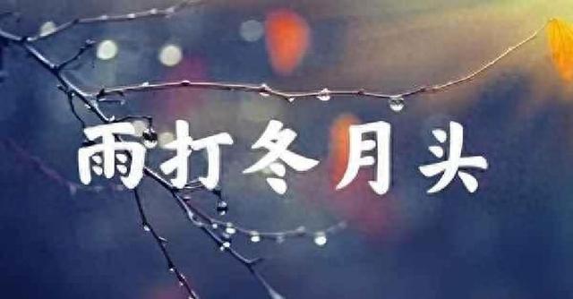 立冬下雨兆头不好？俗语“立冬下了雨，新坟遍地起”背后的真相！