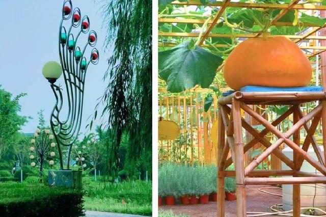 北京世界花卉大观园 四季繁花的梦幻天地