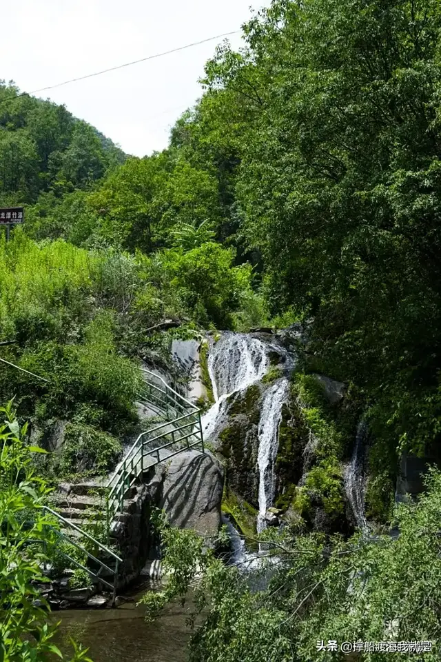 姓马的、属马的快来看，这里有你们的专属福利，可不要错过了！