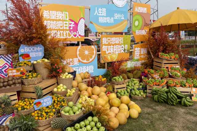 这个周末去哪？你有一份来自东桥的春日“邀请函”！（转发送好礼）