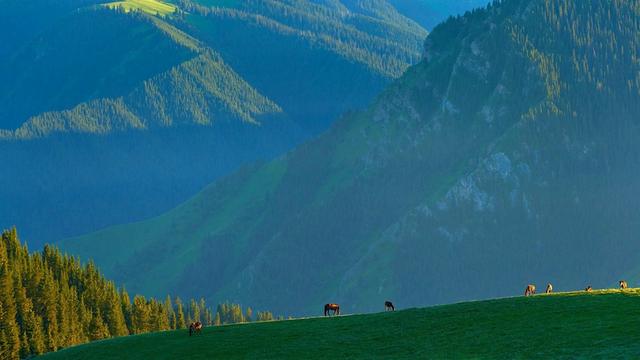 诗和远方 魅影新疆