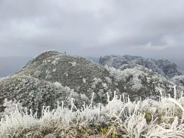 雪景 │ 美到词穷！仁怀首场雾凇惊艳上线
