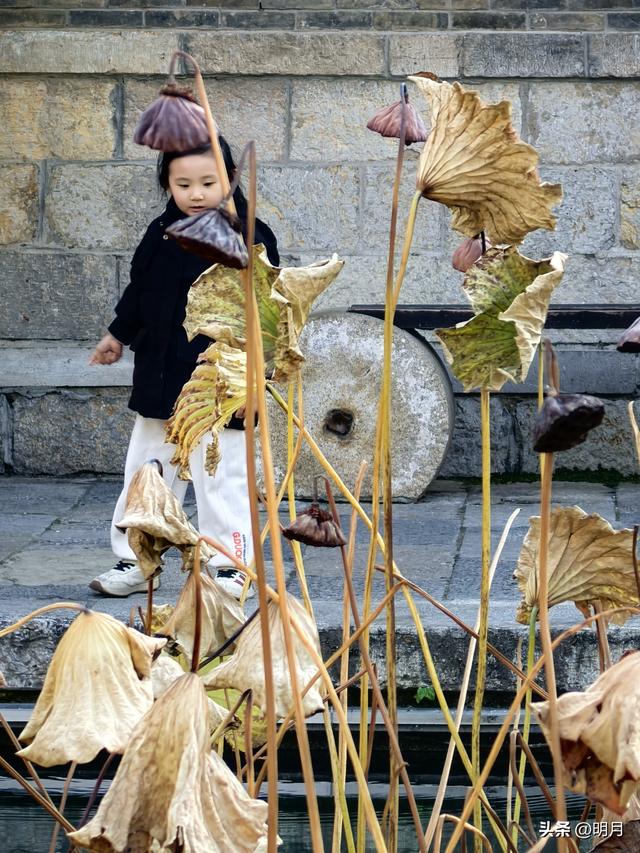 济南哪里最江南？
