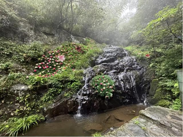 追梦老顽童戴树民：捞河之源，迷人周洛