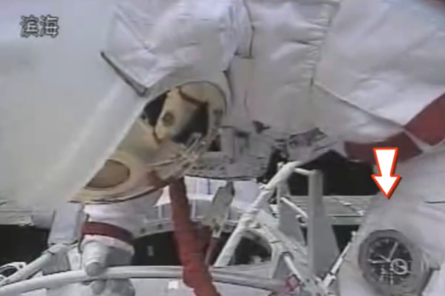 神舟二十一号发射！4只小鼠被带进太空，航天员手腕黑带不简单