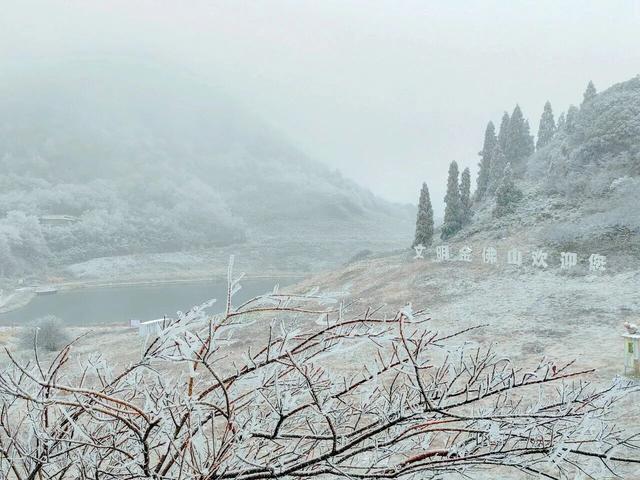 金佛山下雪❄️啦！秒变冰雪仙境