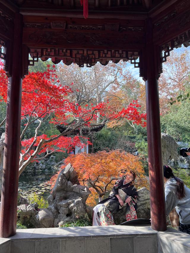 如花如画，每年一见的杭州红叶季到了，错过再等一年。