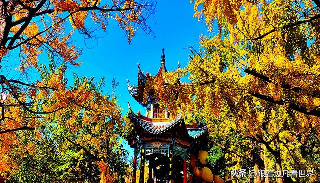 昆明蓝配翠湖银杏黄——藏着昆明最温柔的冬天