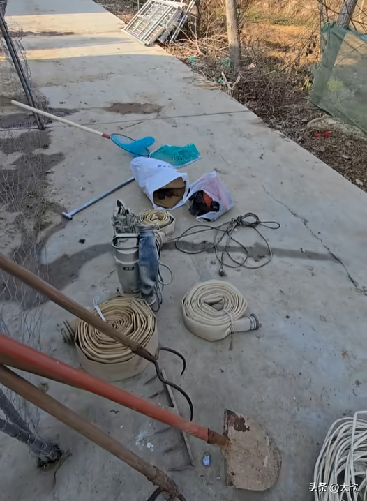 大鹅神秘消失后续：水塘抽干，淤泥被翻，网友质疑主人是炒作