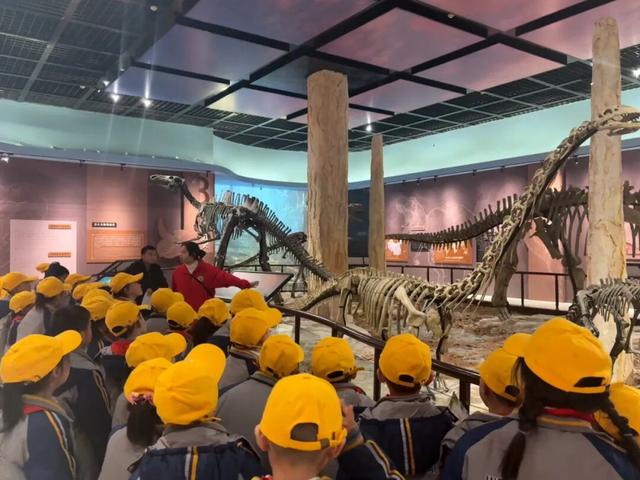 郧阳恐龙蛋化石群国家地质公园：解码史前文明，绽放文旅科普双辉