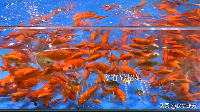 路由器旁放了这3种物品？难怪你的网速越来越慢！