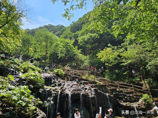 请河南的朋友猜一猜这是哪里的4A级景区，避暑胜地，森林密布