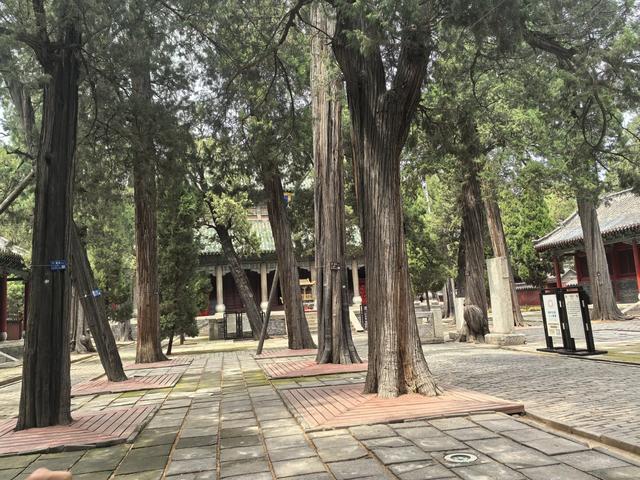 山东邹城游记