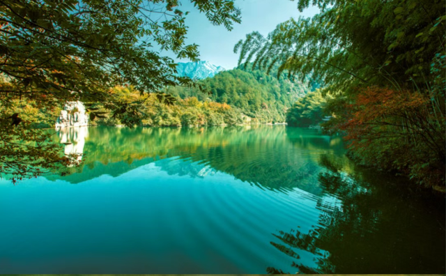 趣清凉·享太平 |速抢！黄山7大景区免门票！限时还有7天，手慢无！|皖美夏日