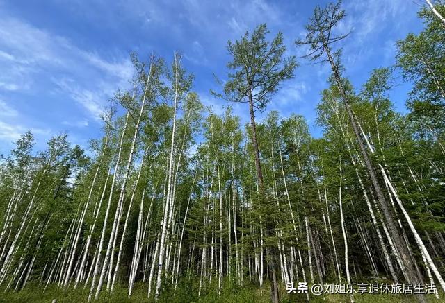 自驾331国道从黑河到漠河，一路找北寻北过程真实记录（二）
