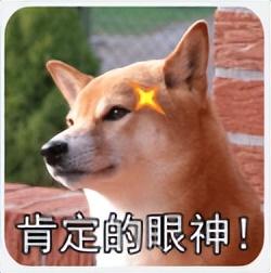 小米 17 Ultra 新机，配置很顶啊...