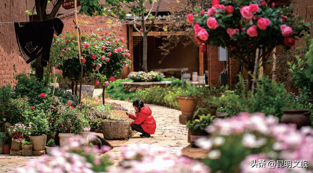 新新新新新新！滇池旅游黄金岸线的“含新量”在哪？快戳→