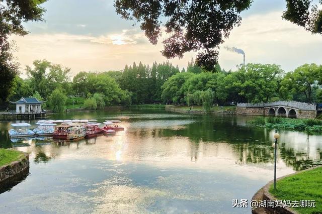 1h车程，带娃在这里挖到“宫崎骏同款夏天”！