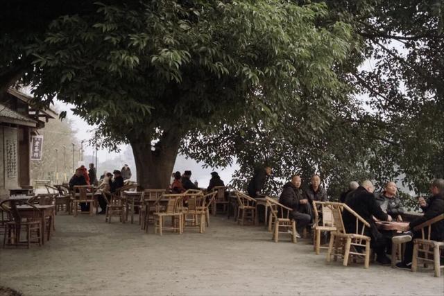 成都向西，拜访邛崃最“慢”的古镇，把千年时光泡进茶里