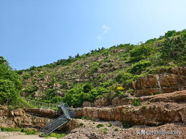 大连海之韵公园·棒槌岛