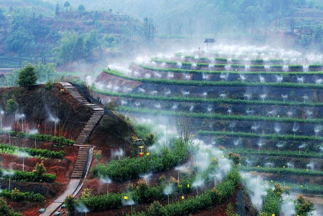 四川省翠屏区历史沿革及行政区划