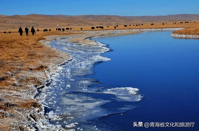 青海的冬天有多美?风裹着雪吻过河流,阳光在雪山尖写满温柔