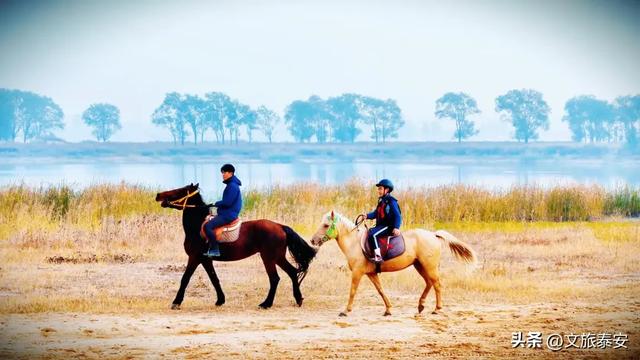 -10°C也拦不住!被窝里哪有马背上潇洒?小泰成功解锁泰安冬季最野玩法!