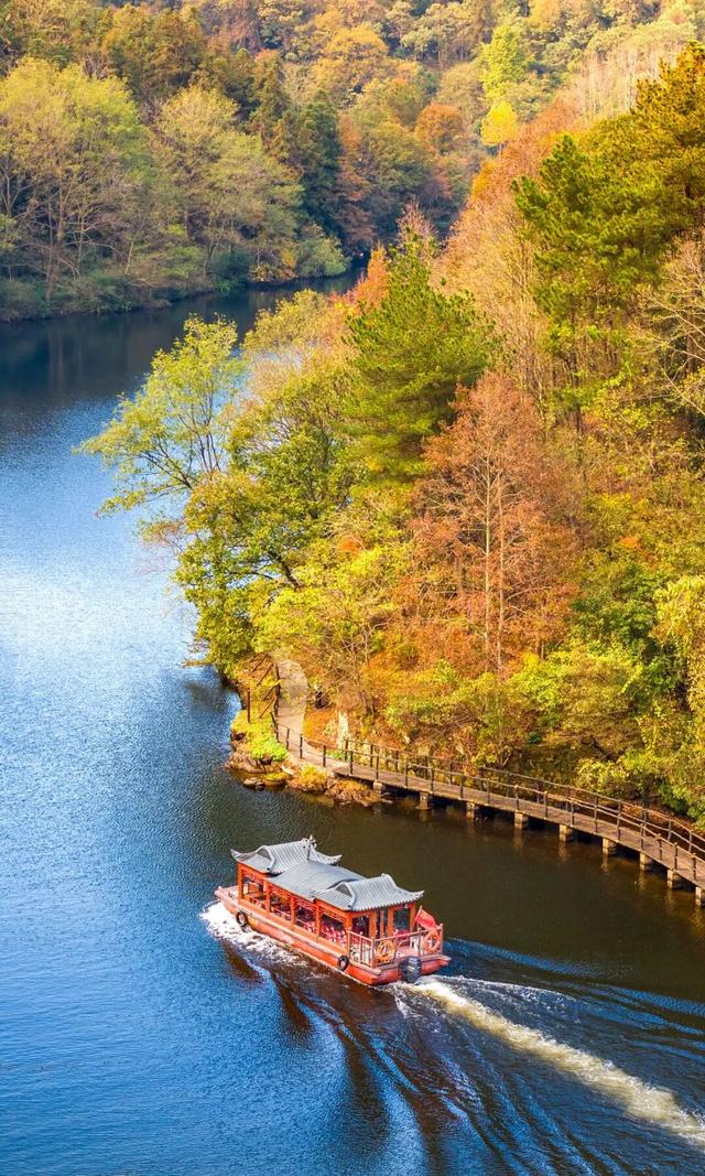 这周都是好天气！黄陂登山徒步赏秋趣！
